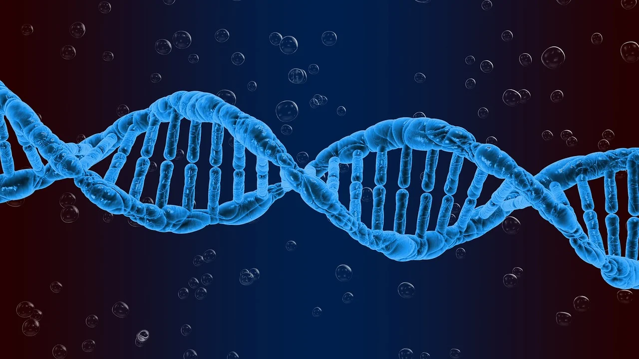 İnsanlığın kodu DNA nasıl keşfedildi? 1 insanligin kodu dna nasil kesfedildi 0 jg6FSFnm