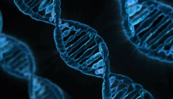 insanligin kodu dna nasil kesfedildi DnF1blvH
