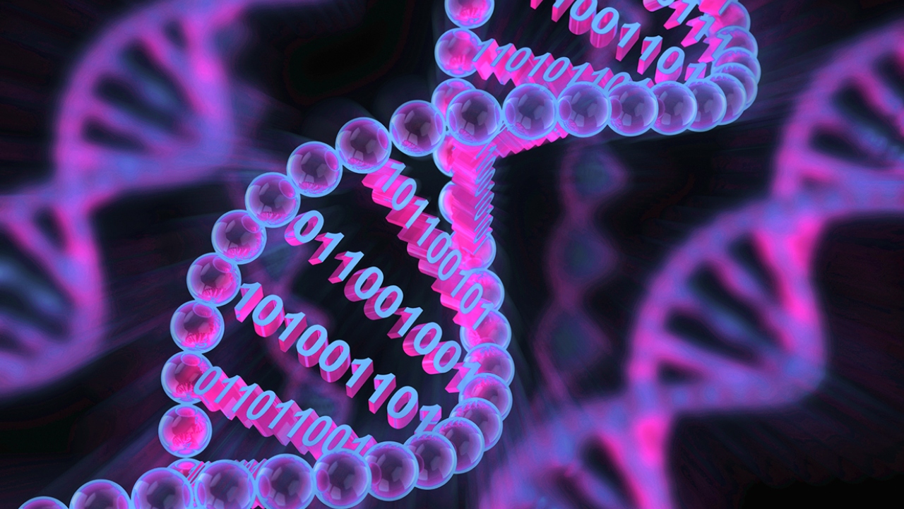 Genetik teknolojinin sıra dışı 10 kullanımı 2 genetik teknolojinin sira disi 10 kullanimi 1 G8CLY4Yq
