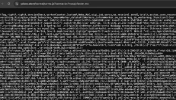 3 bin 500 web sitesi ele gecirildi WSSWIdie