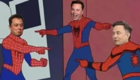 elon musk elon muski odullendirdi YBZn9Yqs