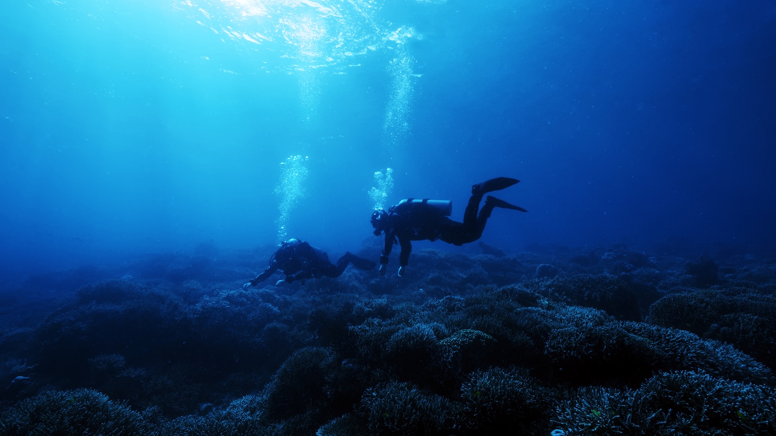 Huawei Watch Ultimate 2 ile Su Altında İletişim Devrimi 6 huawei watch ultimate 2 ile su altinda iletisim devrimi 4