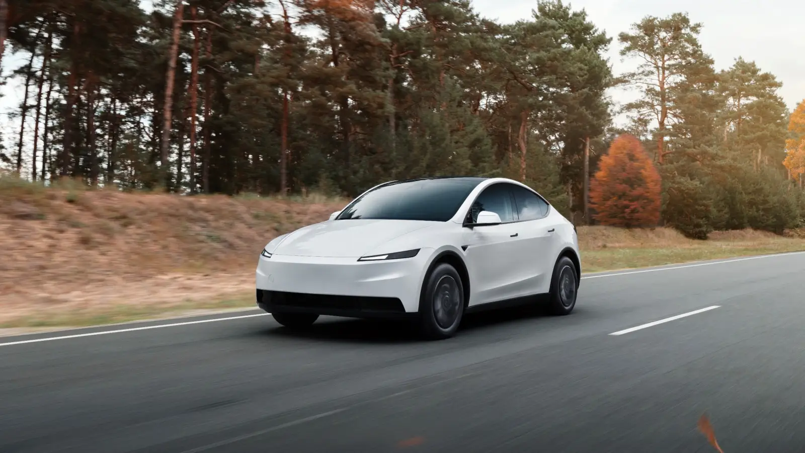 Tesla 2025 Kar Raporu ile Şaşırttı!