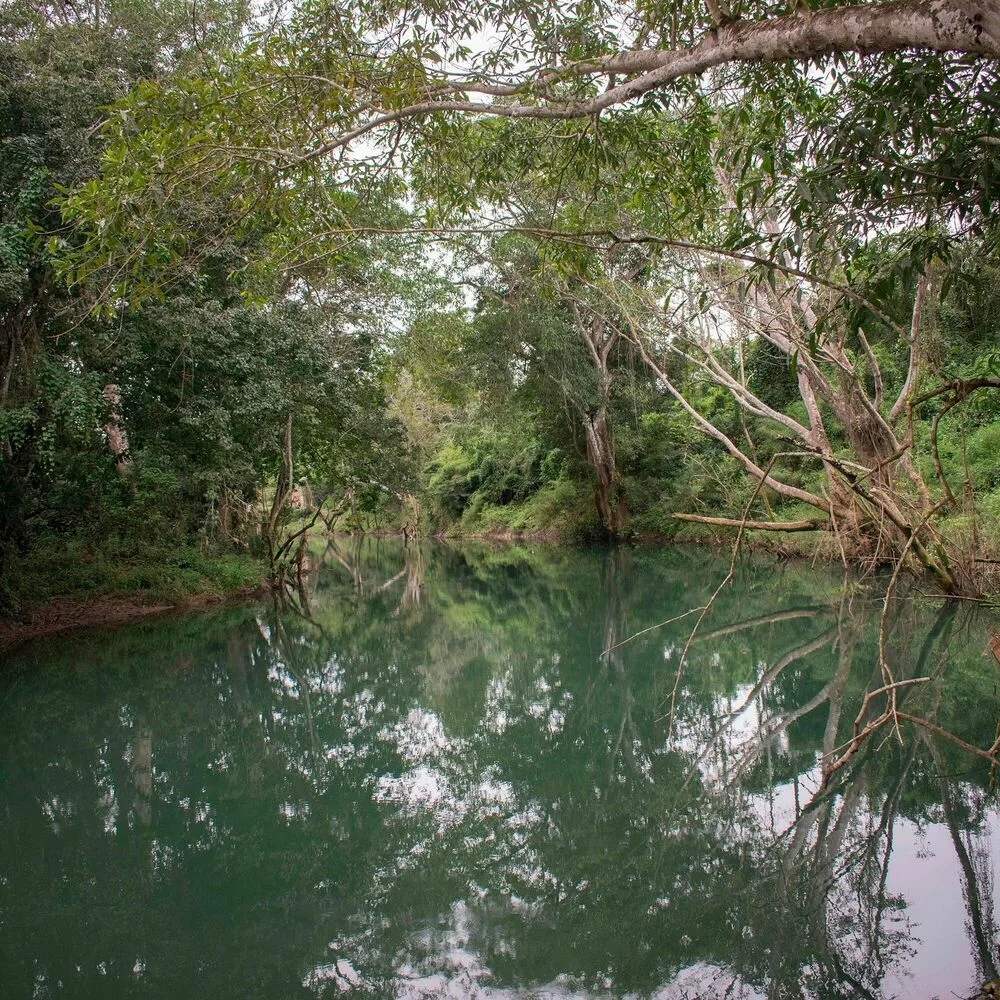 COVID-19’un Temiz Hava Paradoksu: Metan Rekor Kırdı! 2 covid 19un temiz hava paradoksu metan rekor kirdi 0